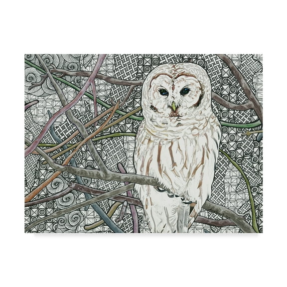 Trademark Fine Art 'Barred Owl White' Canvas Art by Amy Frank