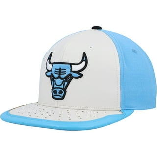 Mitchell & Ness Chicago Bulls NBA Skull Snapback Hat Gorra Black/Día de  Muertos