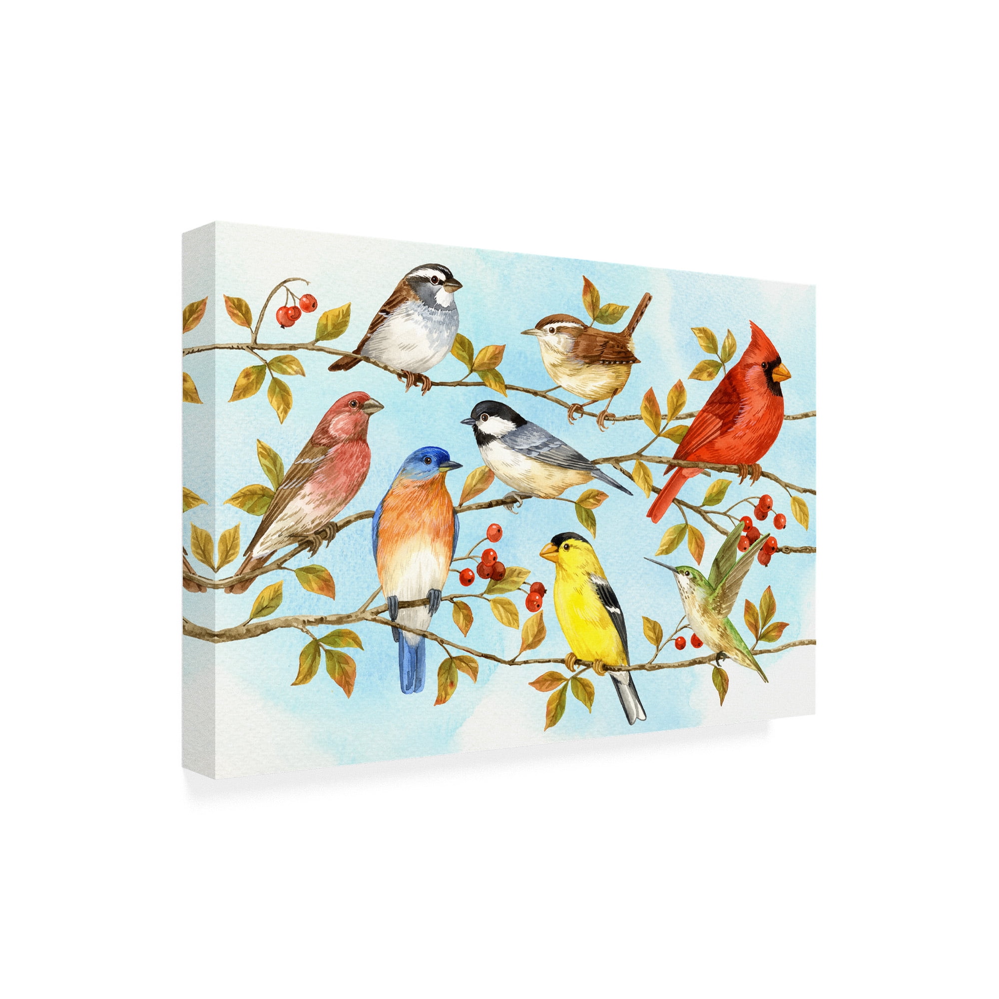 Trademark Fine Art 'Birds And Berries V' Canvas Art by Jane Maday