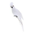 thumbnail image 2 of Oiseaux Plumes Maison Ornement Perroquet Oiseau Rouge, 2 of 8