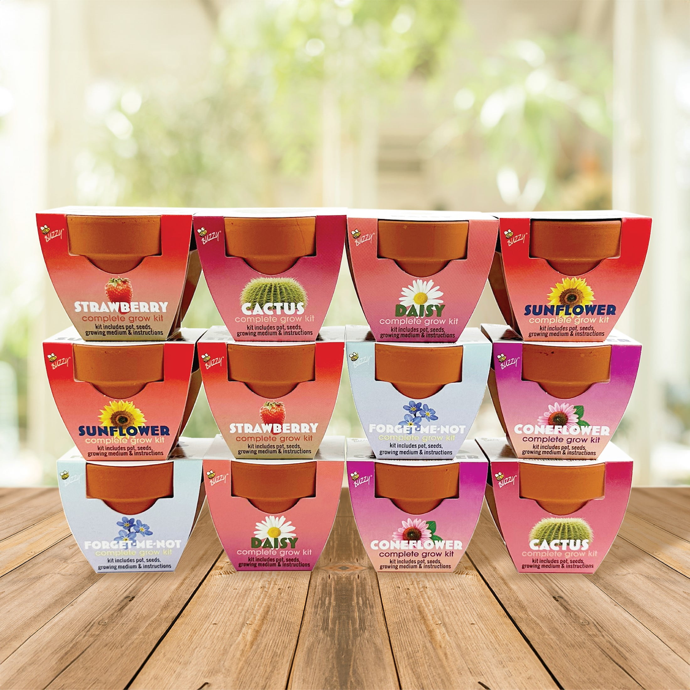 Buzzy Seeds Mini Terracotta DIY Grow Kit 12pk with Flowers, Cactus & Strawberry Seeds