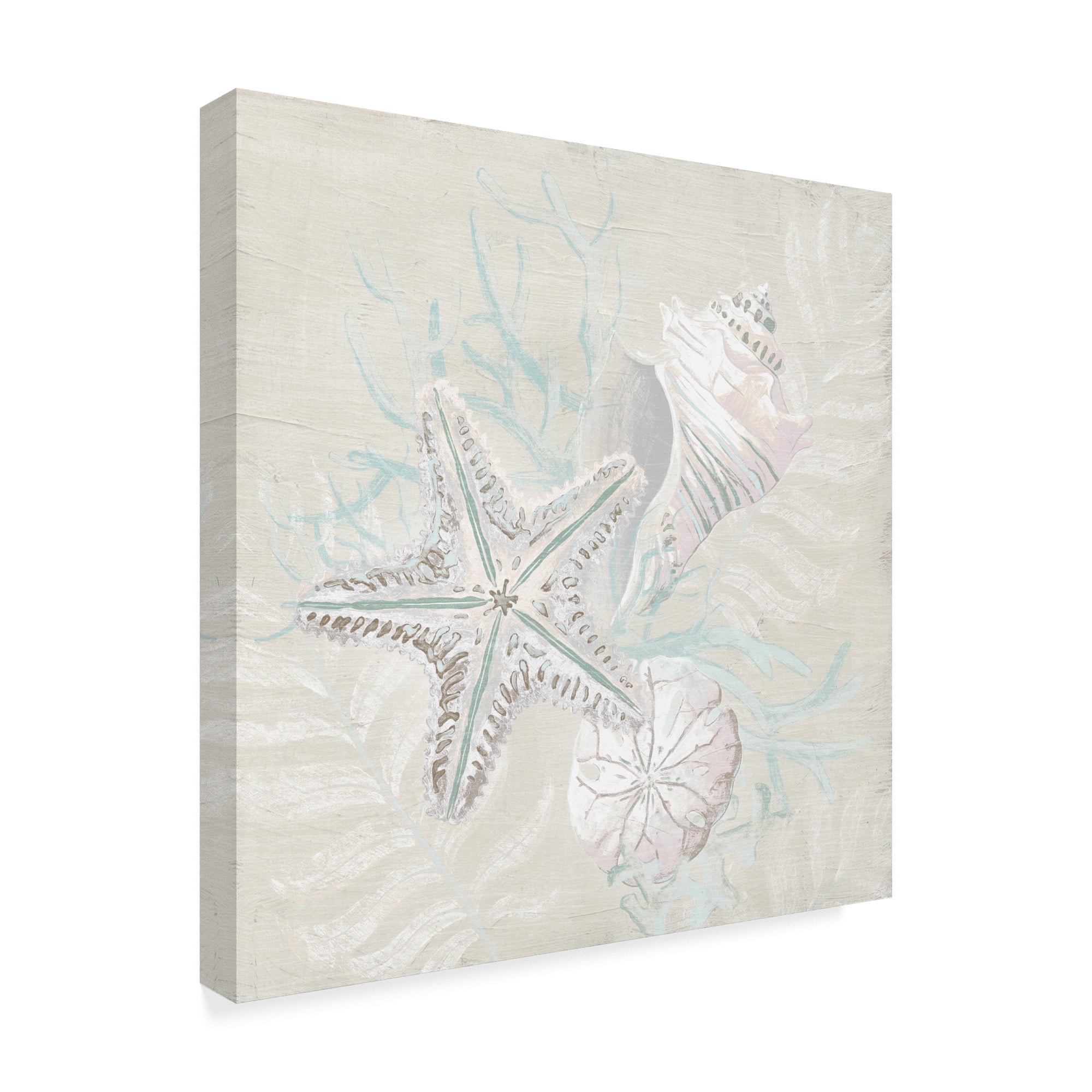Trademark Fine Art 'Weathered Shell Sketch I' Canvas Art by June Erica Vess