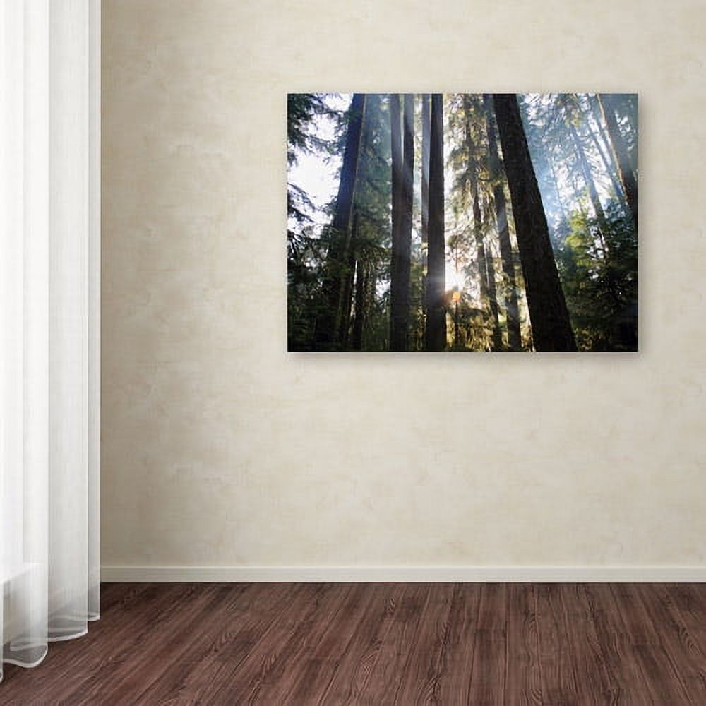 Trademark Fine Art "Sunrays" Canvas Art by Pierre Leclerc