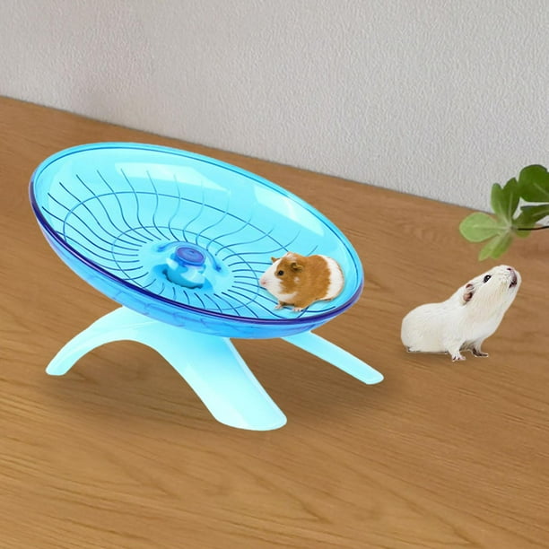 Gerbil exercise wheel 2025