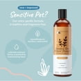 thumbnail image 3 of Champú kin+kind de avena para pieles sensibles de perros y gatos, 3 of 6