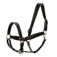 thumbnail image 2 of Jeffers Equine Softie Padded Leather Horse Halter, Full – Adjustable Crown & Nose, Quick Release Cheek Snap, English Style Tack for Training, Grooming, Riding, Barn, Turnout – Havana Brown, 2 of 4