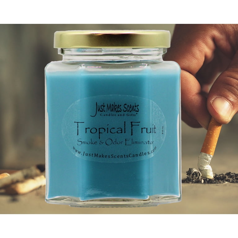 cigarette smoke eliminator candles Odor Exterminator Bermuda Deodorizing Candle, 13-oz jar|Windy City Cigars rustic woods 3-pack Tropical Smoke & Odor