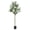 6ft(180cm), variant on Ataujin Faux Olive Tree 6Ft, Fake Olive Tree with Pot, Indoor Tall Artificial Plants UV Resistant Fake Plants for Living Room Home Office Store-Housewarming Gift Idea