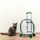 thumbnail image 1 of Pet Cat Trolley Case Mochila para perros Bolso Transpirable Pet Carrier Portable Pet Carrier Mochila con ruedas silenciosas para acampar al aire libre Verde claro completo Yinane Maleta con ruedas para gatos, 1 of 8