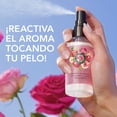 thumbnail image 4 of Perfume Capilar Duradero Multibeneficios Herbal Essences 90 ml, 4 of 5