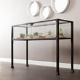 thumbnail image 4 of SEI Furniture Distressed 2 Door Metal Terrarium Display Console Table, Black, 4 of 5