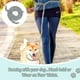 thumbnail image 2 of Rope Dog Leash, Leash For Dog Hi Cam, 2 of 4