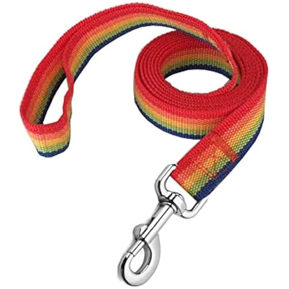 Eryueer Strong Nylon Dog Leash, 4FT/ 5 FT/ 6FT Dog Leashes for Medium Large Dogs (4FT, Rainbow)