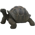 thumbnail image 4 of Ebros Lifelike Galapagos Tortoise Statue 6.5" Wide Lucky Zen Turtle Figurine, 4 of 6