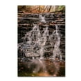 thumbnail image 2 of Trademark Fine Art "Hidden Falls" Canvas Art by Jason Shaffer, 2 of 4