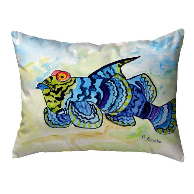 Betsydrake NC1144 16 x 20 Po. Google Eye Oreiller Sans Cordon