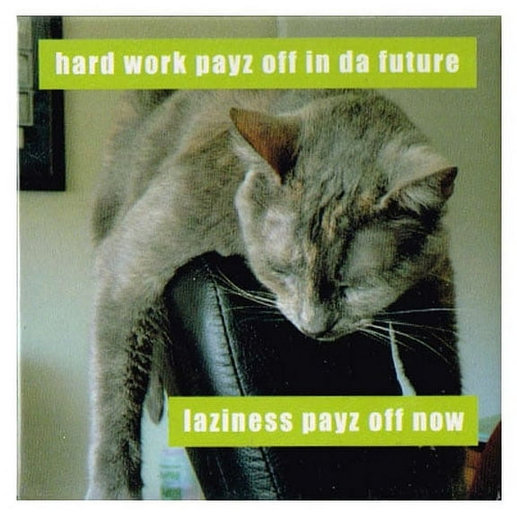 Various I Can Has Cheezburger Laziness Pattern Refrigerator Magnet