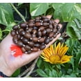 thumbnail image 3 of Petrichor Original Kamal gatta Lotus Seed Prayer Rosary Mala for Laxmi Puja, 3 of 6