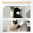 thumbnail image 4 of PEQULTI Small Cat Tree Tower for Indoor Cats Scratcher with Top Perch and Private Cat Condo Gray, 4 of 7