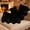 1pc, variant on Halloween Bat Throw Pillow, Cute Furry Bat Plush Pillows, Spooky Plush Cushion Holiday Decor