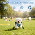 thumbnail image 2 of XIRQI Dog Wheelchair for Back Legs-Adjustable Small Dog Wheelchair with 1.5Mm Thickened Frame,Mobility Aid Support Cart for Disabled Hind Legs Rehab,Walking Wheels for Small Dogs, 2 of 8