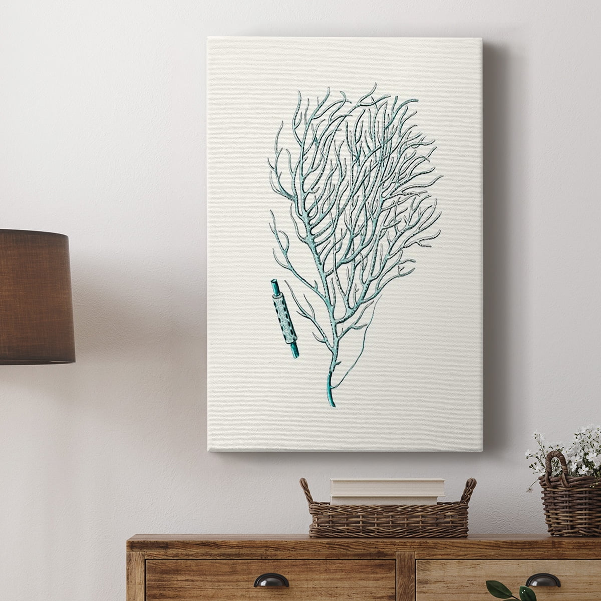 Antique Coastal Coral I Premium Gallery Wrapped Canvas - Ready to Hang