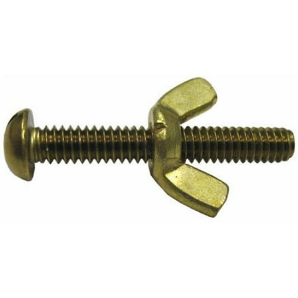 Pentair R221156 Brass Wing Nut And Bolt