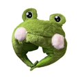 thumbnail image 1 of Sombrero de disfraz Sunnimix rana de peluche para Adultos, 1 of 8