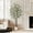 5FT, variant on Artificial Eucalyptus Tree with 50 LED Lights – 6FT Faux Indoor Floor Plant in White Planter – Realistic Decorative Silk Tree for Home, Living Room, Office Spaces – 6FT