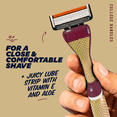 thumbnail image 5 of Dollar Shave Club FSU Seminoles 6-Blade Starter Set 1 Handle, 2 x 6-Blade Razor Refills, 5 of 9