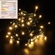thumbnail image 2 of Guirnalda de luces Caseffect para exteriores, 10 m, 100 LED, blanco cálido, 12 V, 2 of 8
