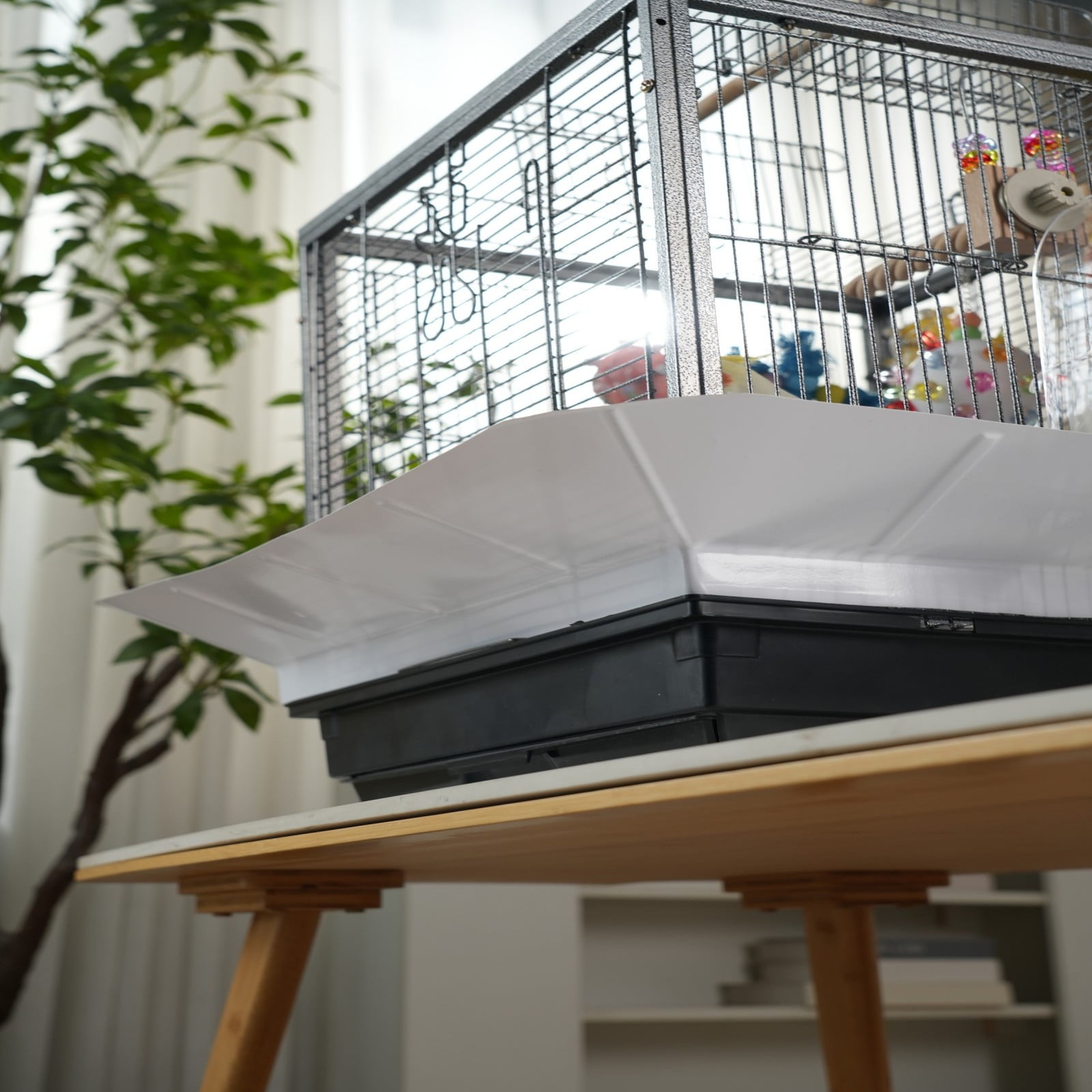 Small Bird Cage 24 Inch - Metal Parakeet Cage with Pull Out Tray - Carrier for Cockatiels Budgies Finches - Includes 2 Wood Perches for Small Medium Birds