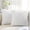 White, variant on decorUhome Pack of 2 Throw Pillow Covers 18x18, Soft Plush Faux Wool Couch Pillow Covers, White (Pillow Cover Only, No Inserts Included)