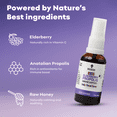 thumbnail image 5 of BEE & YOU Elderberry Kids Immune Support Throat Spray with Raw Honey, Propolis, Vitamin C, 1 fl. Oz, 5 of 7