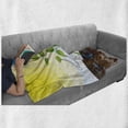 thumbnail image 6 of Educational Soft Flannel Fleece Blanket, Simple Photosynthesis Scheme Plant Sun Molecules Chemical Chain Growth Ecology, Cozy Plush for Indoor and Outdoor Use, 50" x 60", Multicolor, by Ambesonne, 6 of 6