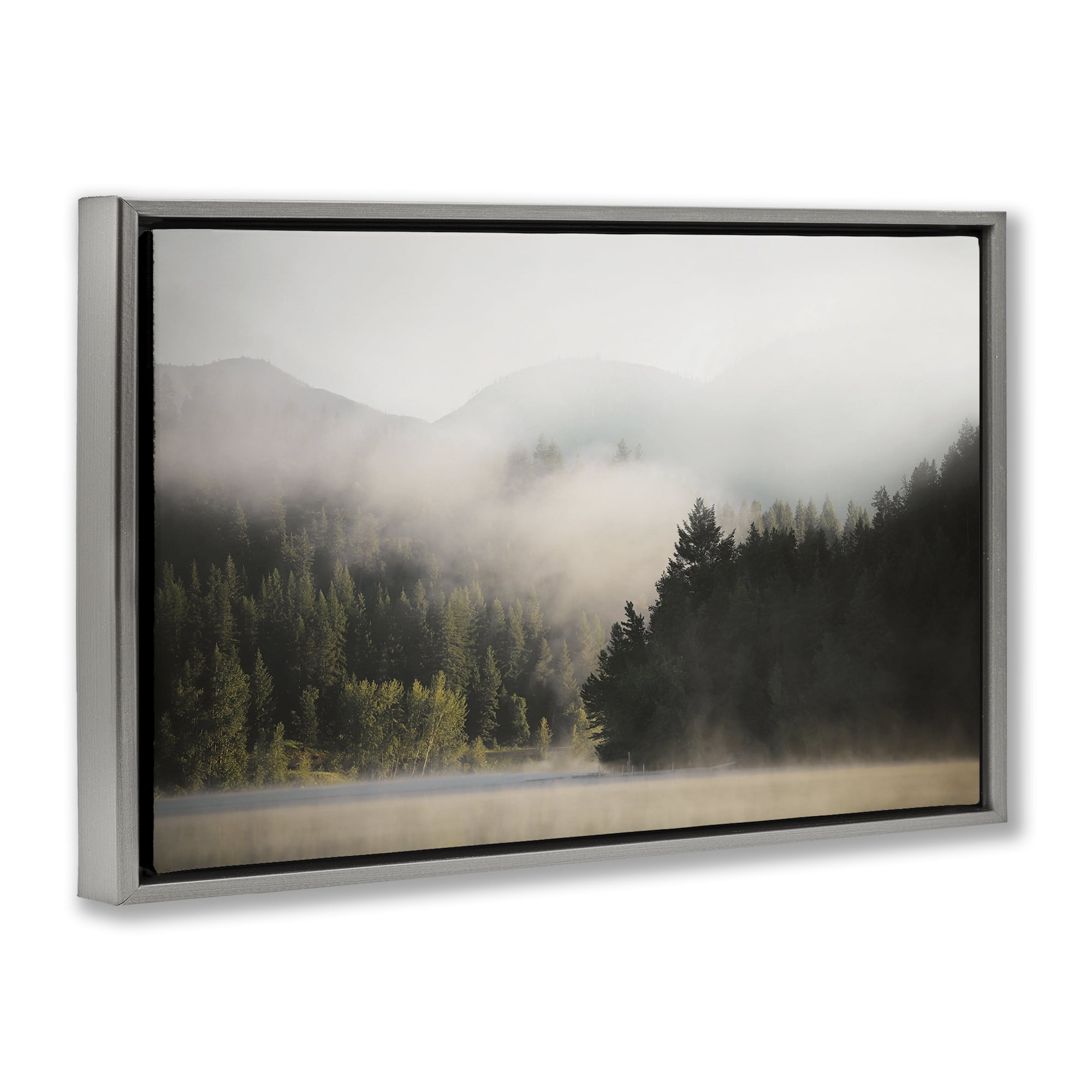 Stupell Industries Rolling Fog Woodland View Landscape & Nature Photography Gray Floater Framed Canvas Art Print Wall Art, 31 x 21