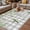 SpringGreen LightGrey, variant on Watercolor Floral Outdoor Rug for Patio/Deck/Porch, Non-Slip Large Area Rug 5 x 7 Ft, Spring Flowers Birds Plants Gray Plaid Indoor Outdoor Rugs Washable Area Rugs, Camping Rug Carpet Runner