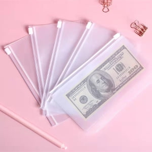 Money in best sale a ziplock bag