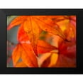 thumbnail image 2 of Grayscale 18x15 Black Modern Framed Museum Art Print Titled - Japanese Maple I, 2 of 5