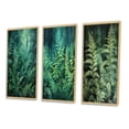 thumbnail image 3 of Designart "Fern Fonds Green Verdant Growth" Floral Framed Wall Art Set Of 3 - Green Floral Frame Gallery Set For Office Decor, 3 of 7