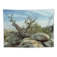 thumbnail image 5 of Orinice Rocks Desert Tapestry Wall Hanging Unique Style Graphic Tapestries Home Wall Decor for Living Room Bedroom Apartment Farmhouse 40x60inch, 5 of 6
