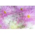 thumbnail image 2 of Mahan, Kathy 14x11 Gold Ornate Wood Framed with Double Matting Museum Art Print Titled - Flower Impressions II, 2 of 4