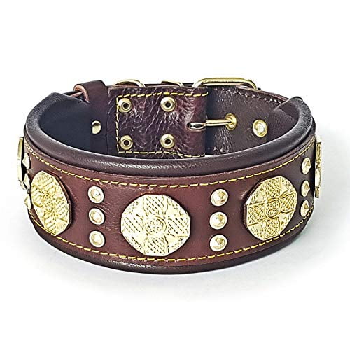 The Maximus Brown/Gold Leather Dog Collar for Large Dog Breeds