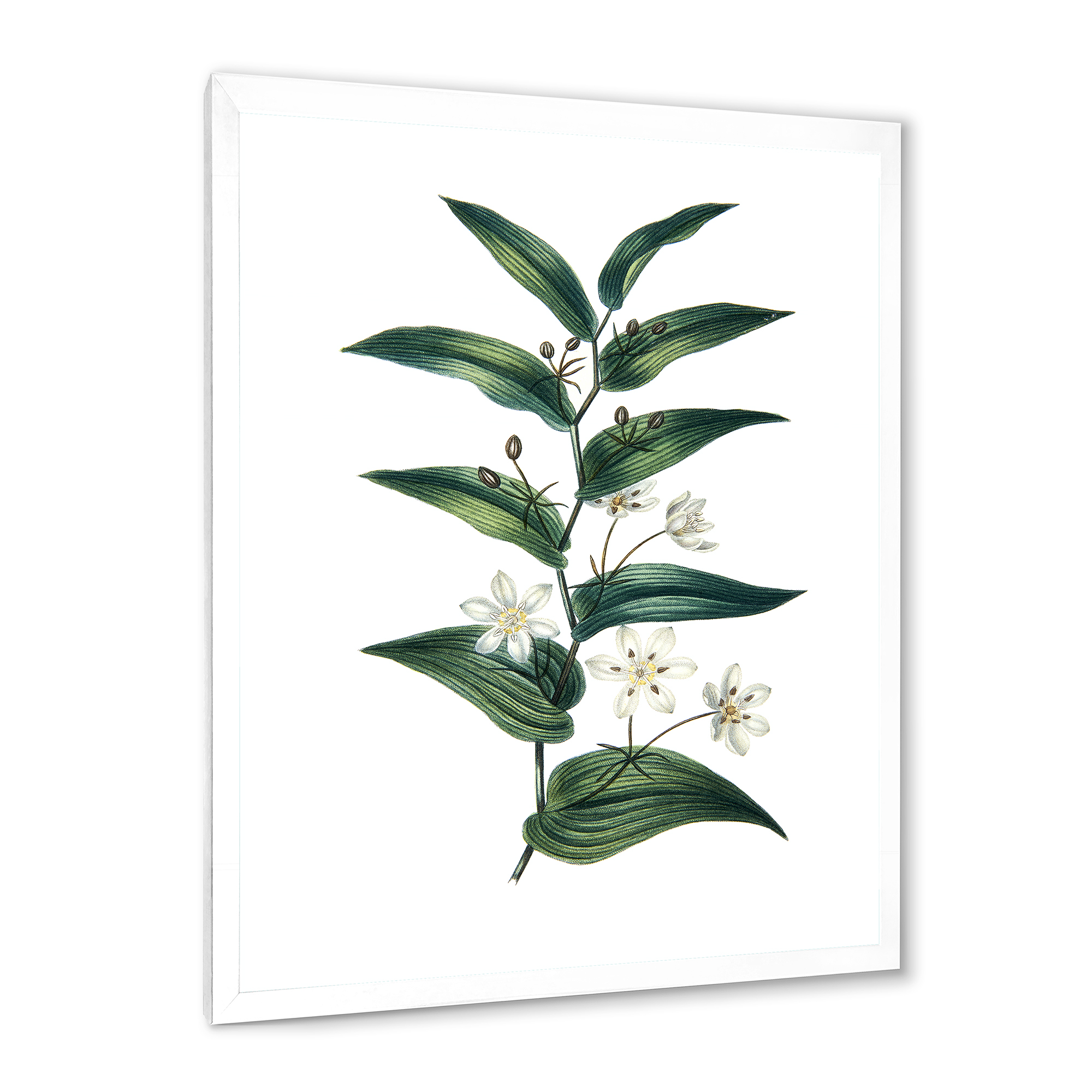 Designart 'Little White Flowers With Ancient Plant' Farmhouse Framed Art Print