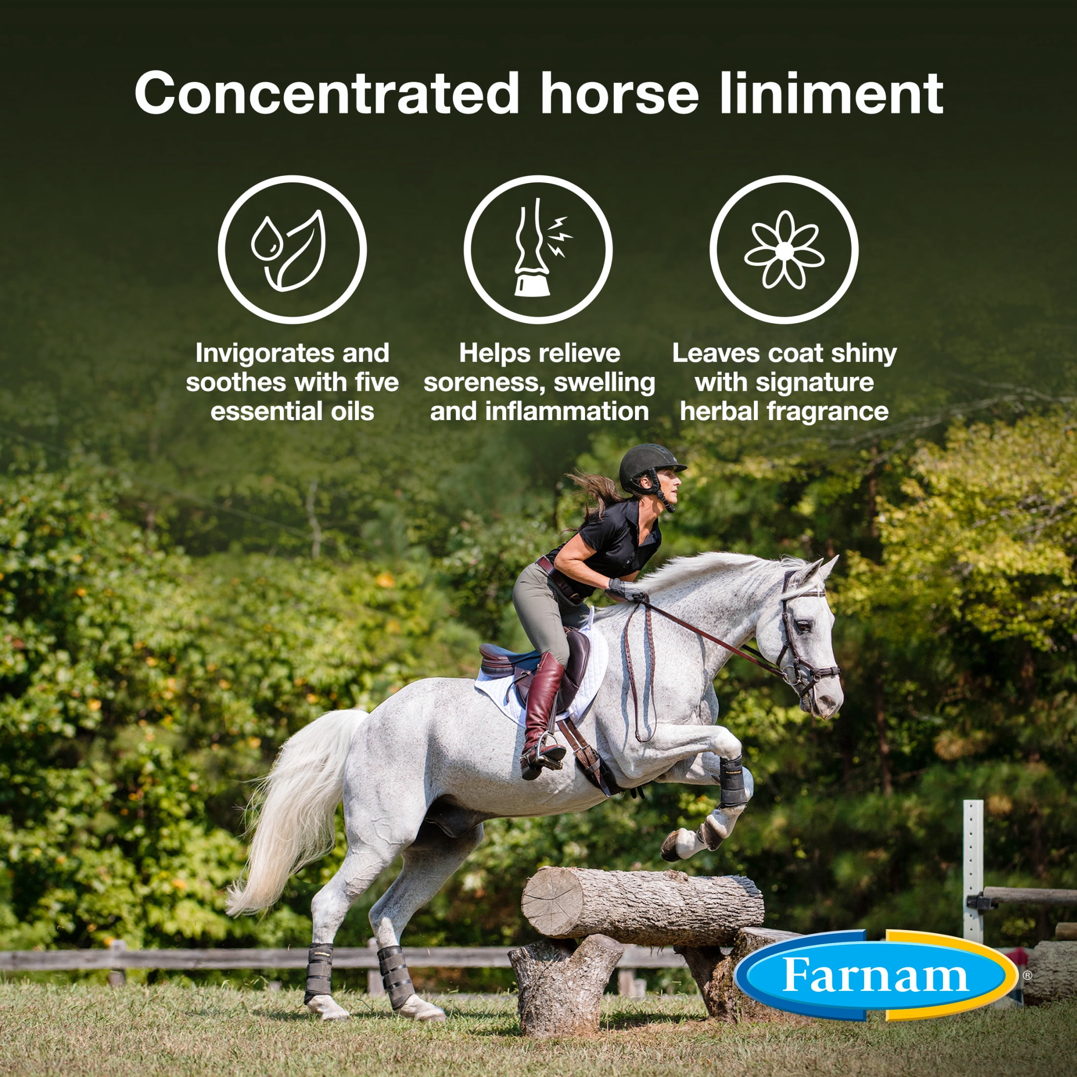Farnam Vetrolin Horse Liniment for Muscle Soreness, Stiffness and Inflammation Relief on Horses, Helps Reduce Swelling 32 Fluid Ounces