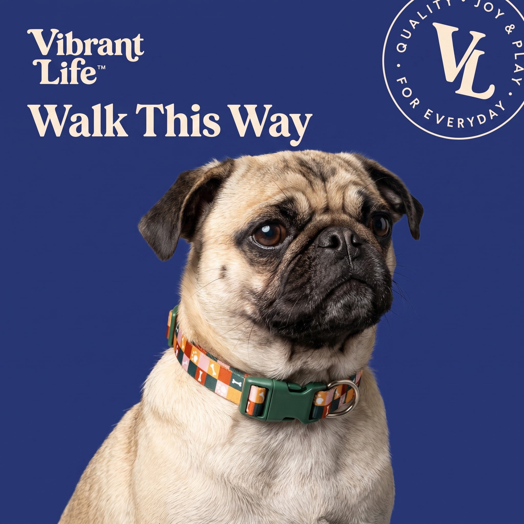 Vibrant Life Adjustable Fashion Dog Collar, Multicolor Bone and Paw Grid, Size S