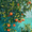 Citrus Tree, variant on Orange Tree Branch Canvas Painting,Wall Art Decor for Kitchen Dining Room Living Room Office