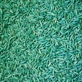 thumbnail image 3 of Pennington Rebels Tall Fescue Grass Seed, Sun to Partial Shade, 20 lb., 3 of 8