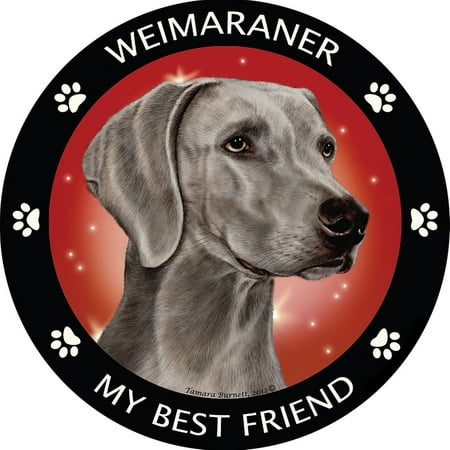Weimaraner My Best Friend Magnet