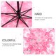 thumbnail image 3 of FENGGUIQU Sombrilla Plegable Transparente Con Floral Rosa Para Protección Solar Y Lluvia Exterior, 3 of 6